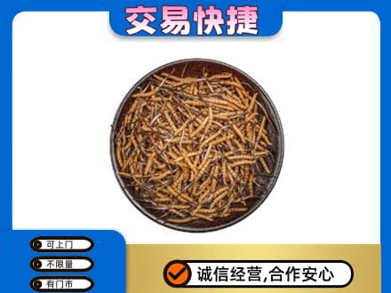 连云港高价回收散虫草